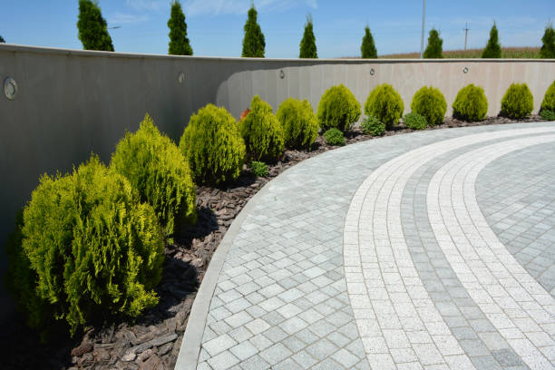 Best Professional Driveway Pavers  in Independence, MO